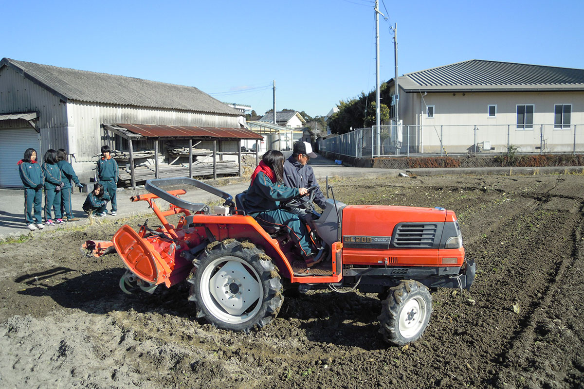 自由な科目選択