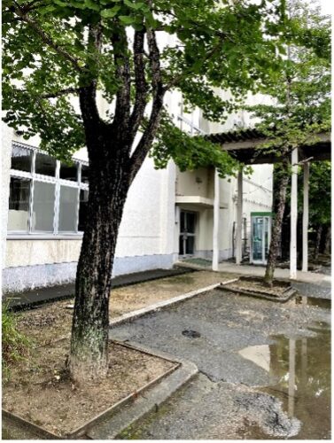 空手道